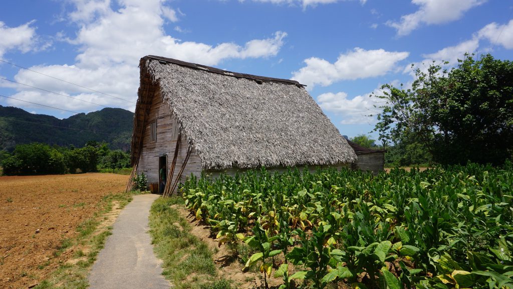 Viñales, Cuba