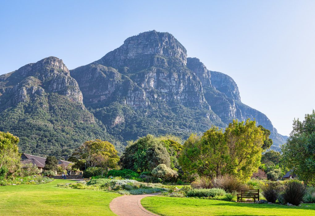 Kirstenbosch